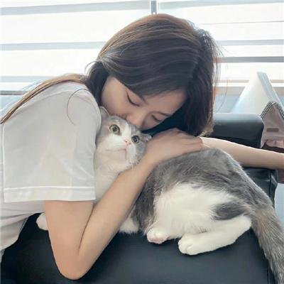 三全其美